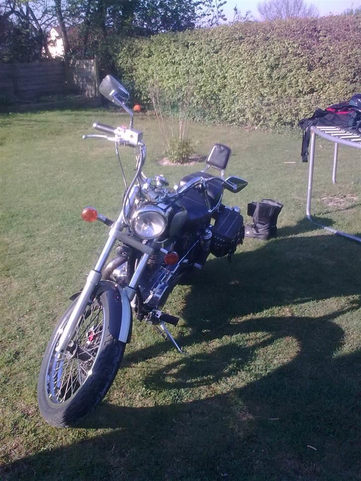 Suzuki LS 650 SAVAGE billede 18