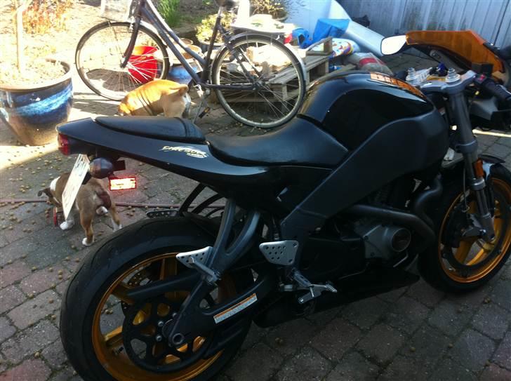 Buell xb12r - som da jeg lige havde købt den hos caps billede 8