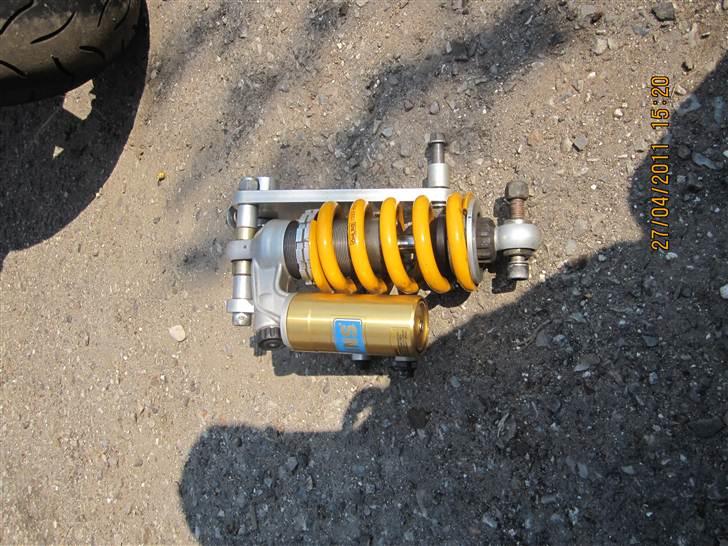 Suzuki TL1000R billede 5
