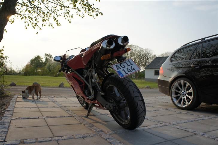 Ducati 749 billede 5