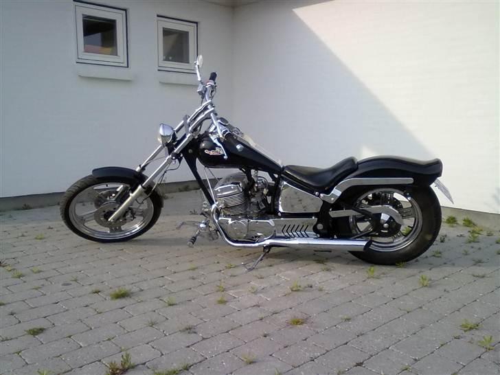 Regal Raptor Spyder *SOLGT* billede 1