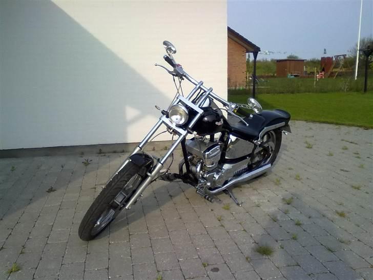 Regal Raptor Spyder *SOLGT* billede 2