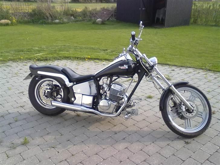 Regal Raptor Spyder *SOLGT* billede 4