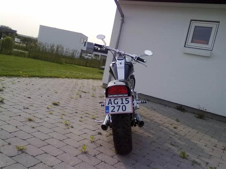 Regal Raptor Spyder *SOLGT* billede 6