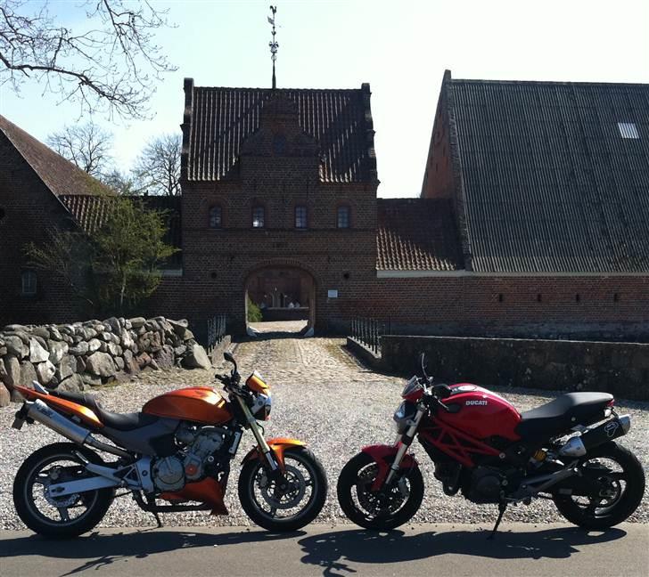 Honda CB 600 Hornet (solgt) billede 2