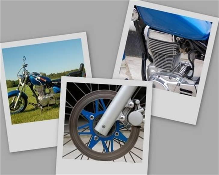 Suzuki $ Ls 650 Savage billede 6