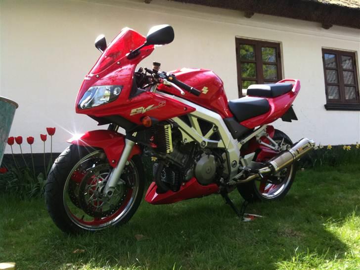 Suzuki SV1000s billede 1