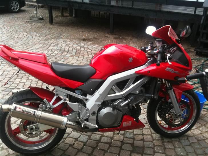 Suzuki SV1000s billede 8