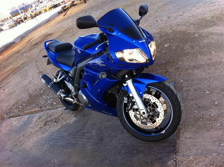 Suzuki SV1000S Limited Edition  billede 1