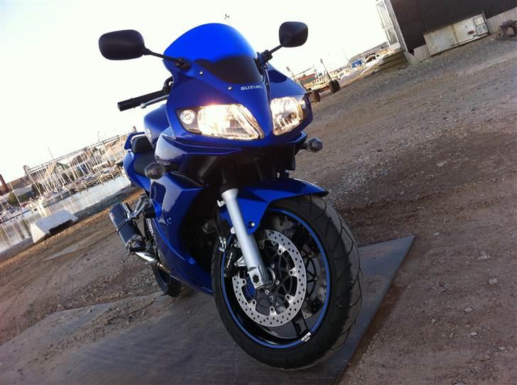 Suzuki SV1000S Limited Edition  billede 2