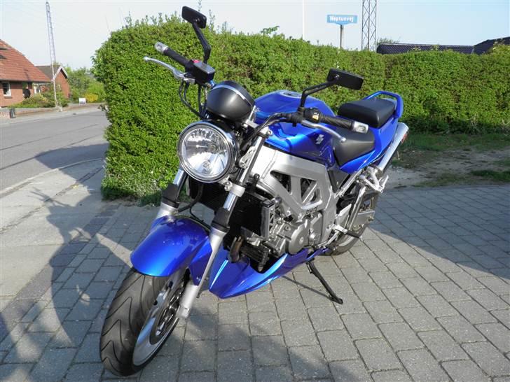 Suzuki sv 650 N billede 7