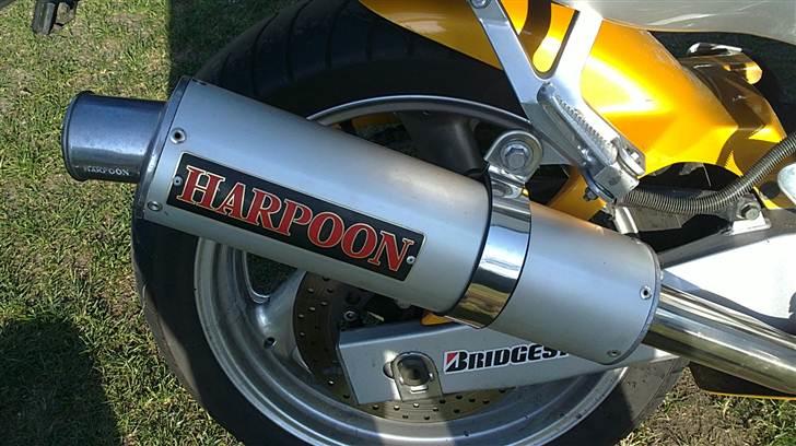 Yamaha YZF 600r Thundercat billede 2