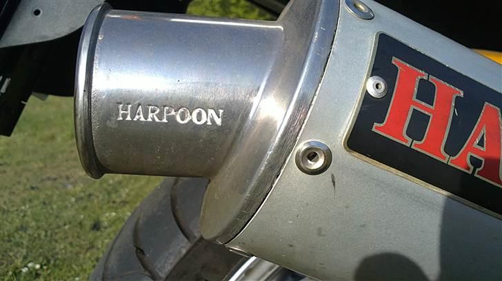 Yamaha YZF 600r Thundercat billede 3