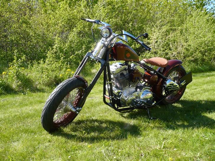 Harley Davidson Sportster Bobber billede 2