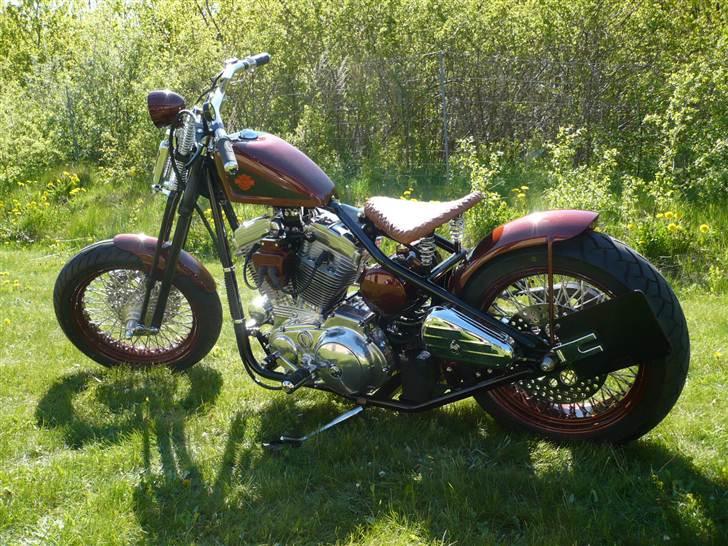 Harley Davidson Sportster Bobber billede 3