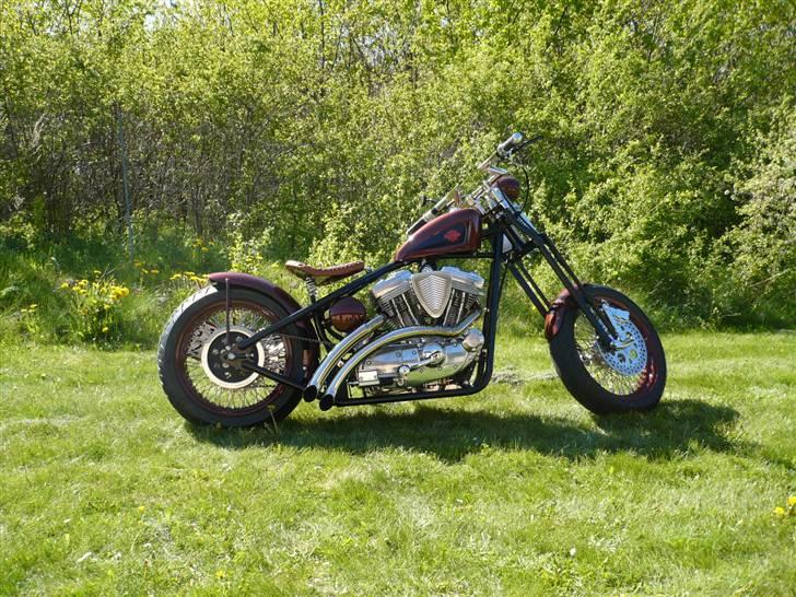 Harley Davidson Sportster Bobber billede 5