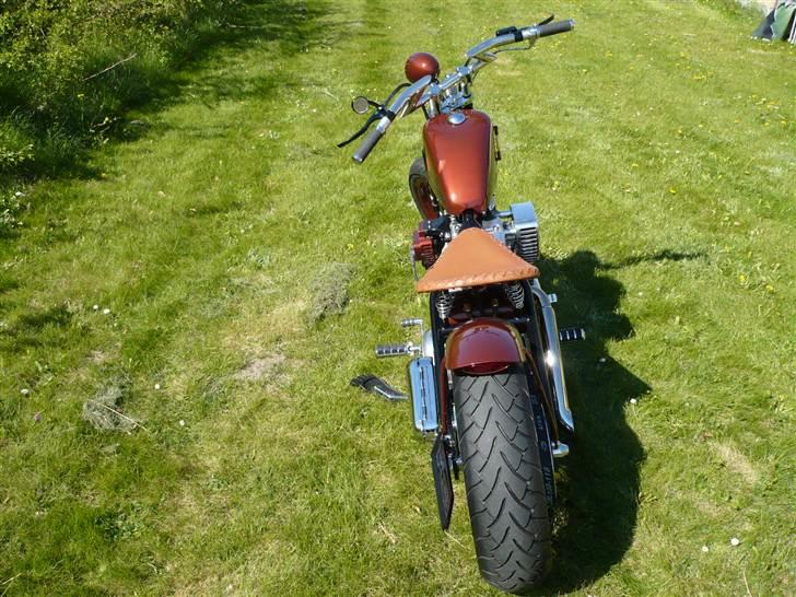 Harley Davidson Sportster Bobber billede 6