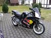 Honda CBR 600 F2 RedBull [Tidl. motorcykel]