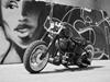 Harley Davidson Panhead  [Tidl. motorcykel]