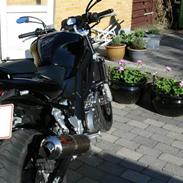 Suzuki SV1000 SOLGT