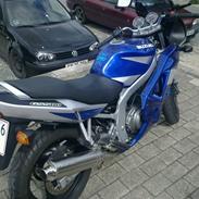 Suzuki Gs 500 E