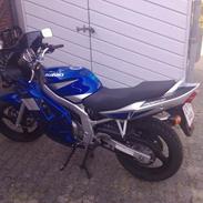 Suzuki Gs 500 E