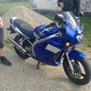 Suzuki Gs 500 E