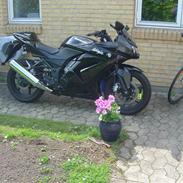 Kawasaki Ninja 250R
