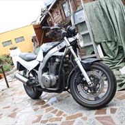 Suzuki GS500 E