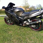 Honda Blackbird
