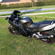 Honda Blackbird