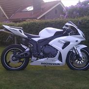 Honda CBR 1000 RR Fireblade