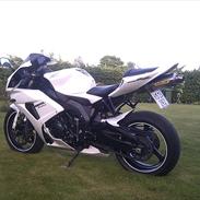 Honda CBR 1000 RR Fireblade