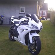 Honda CBR 1000 RR Fireblade