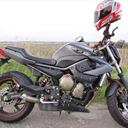 Yamaha XJ6 N