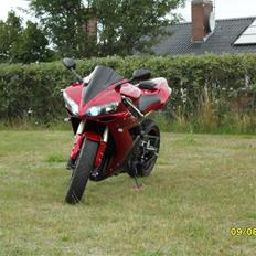 Yamaha yzf R1 (SOLGT)