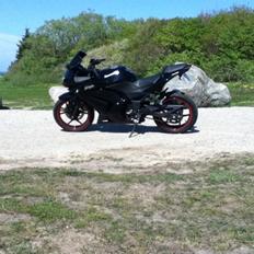 Kawasaki ninja 250r