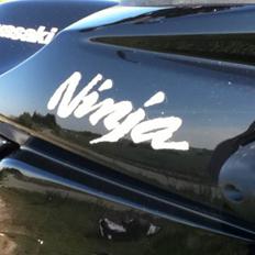Kawasaki ninja 250r