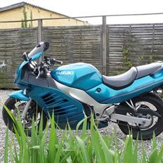 Suzuki rf600r