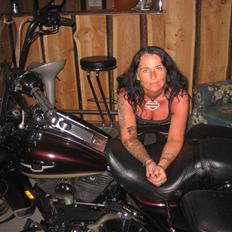 Harley Davidson Road King