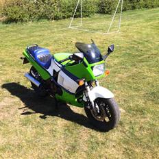 Kawasaki GPZ 600R