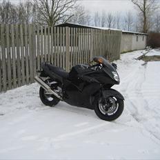 Honda CBR 1100 xx blackbird