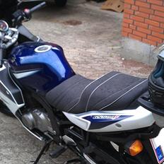 Suzuki GS 500F