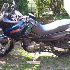 Suzuki XF 650 Freewind