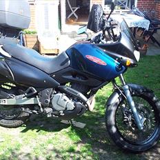 Suzuki XF 650 Freewind