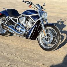 Harley Davidson v-rod