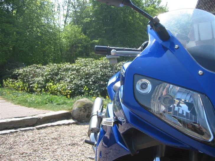 Suzuki SV - spejl forlængere, desuden er det en flot vinkel ;) billede 15