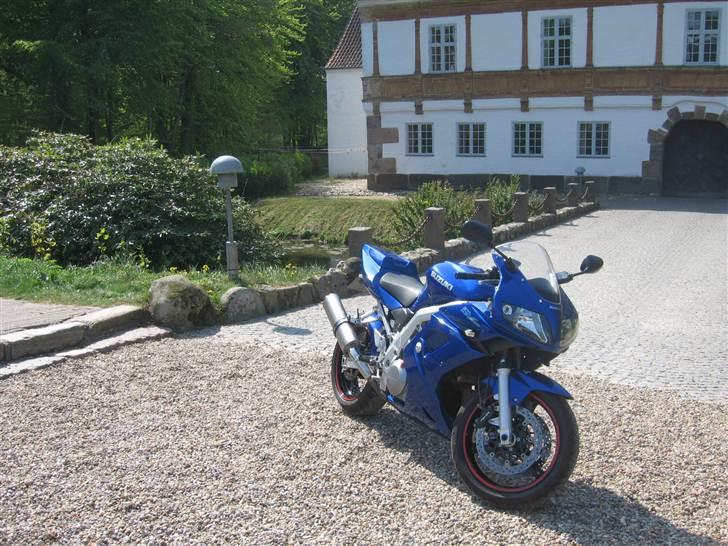 Suzuki SV - the scenary... beautiful.. billede 17