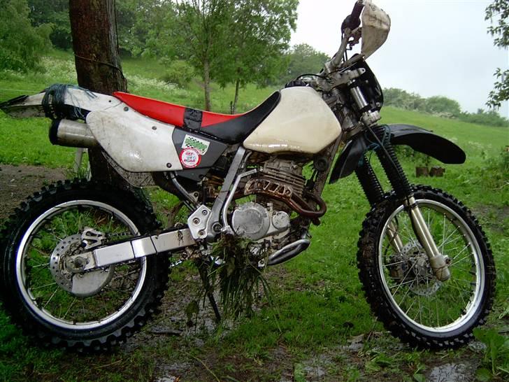 Honda XR 250 R billede 1