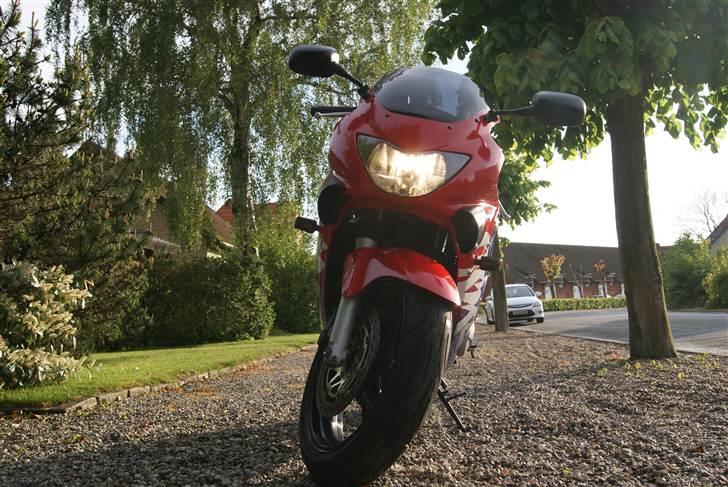 Honda cbr600 f4  billede 7